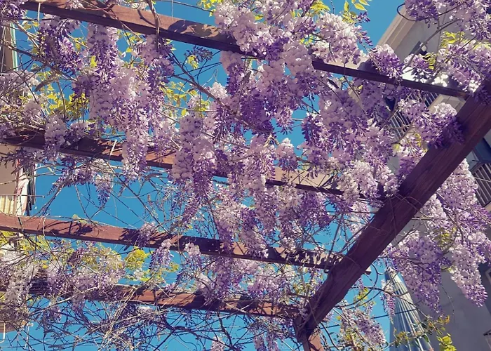 Lumìa Bed & Breakfast 4*